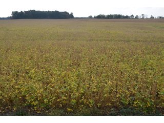 Property photo 13 - REAL ESTATE AUCTION - 604+/- ACRES IN 14 TRACTS IN MERCER CO., OHIO